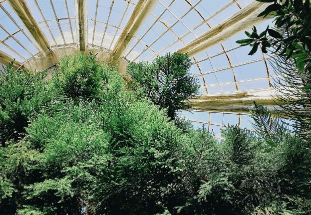 Botanical Garden_The Palm House.jpg