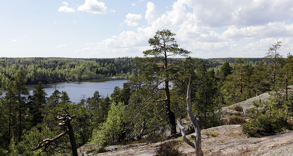 nuuksio_940x500.jpg