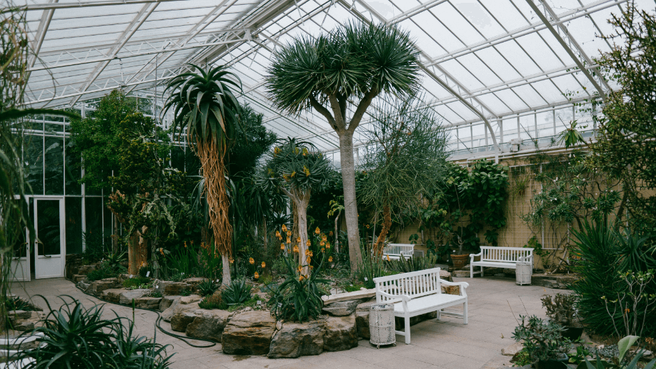 Autumn in Amsterdam - botanical garden.png