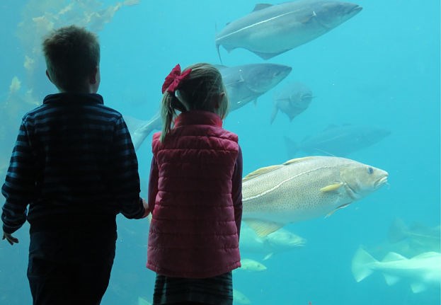 Aalesund Aquarium